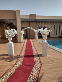 تاجير خلفيات